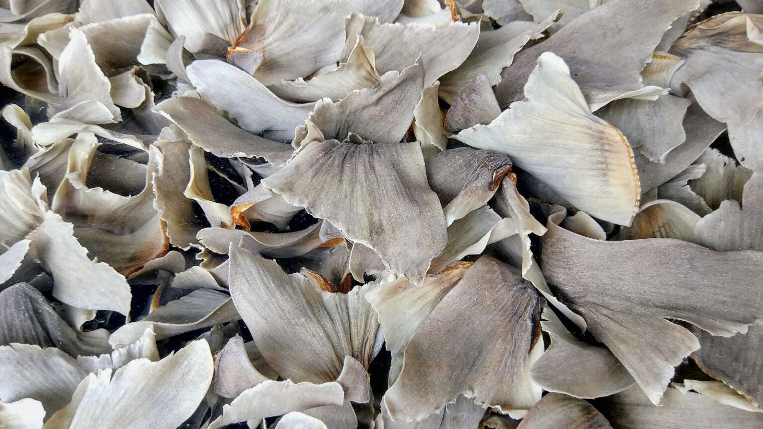 18 American Foods Banned at Home But Legal Abroad